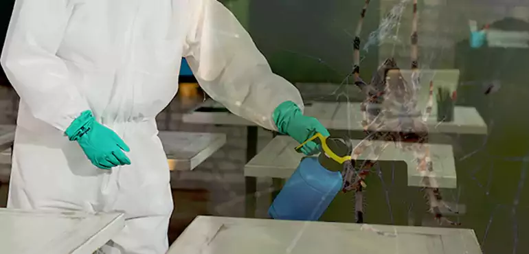 Why Buyers Still Want Homes With Pest Infestations in Santa Clarita, CA?