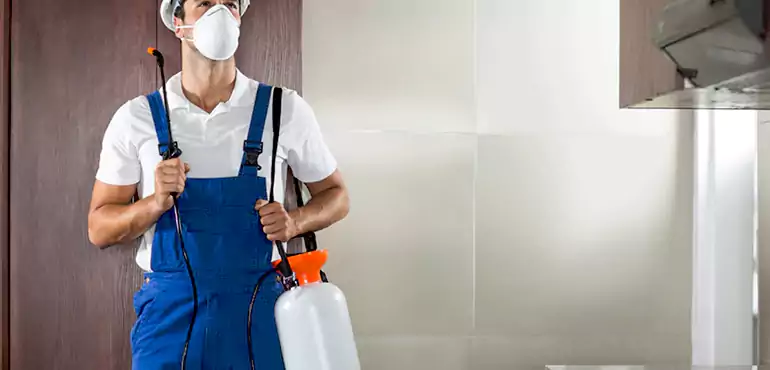 Why Santa Clarita Homeowners Choose Us When Pests Make Selling Difficult