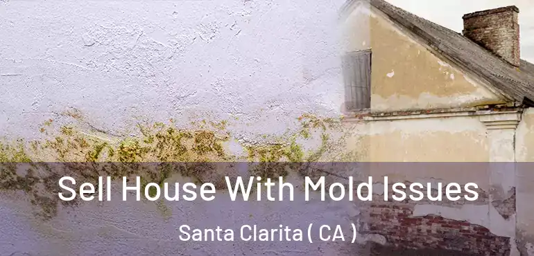  Sell House With Mold Issues Santa Clarita ( CA )